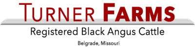 Turner Angus Farm Logo